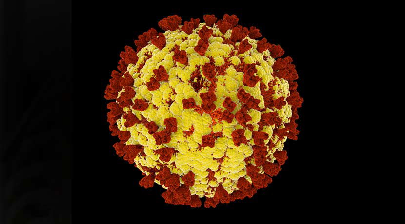 CDC Issues Measles Vaccination Alert Amid US and Global Outbreaks